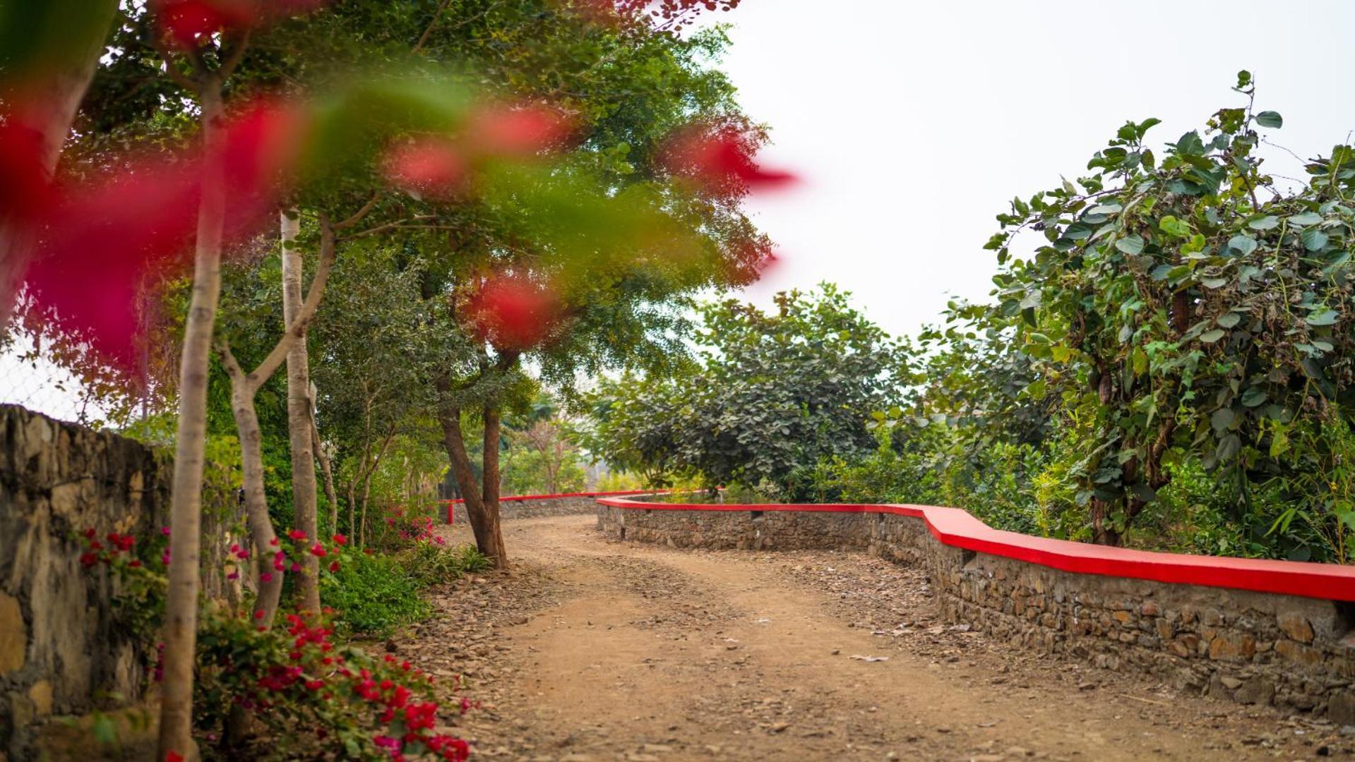 Guldaar Sariska - A Luxury Forest Resort Tehla Exteriör bild